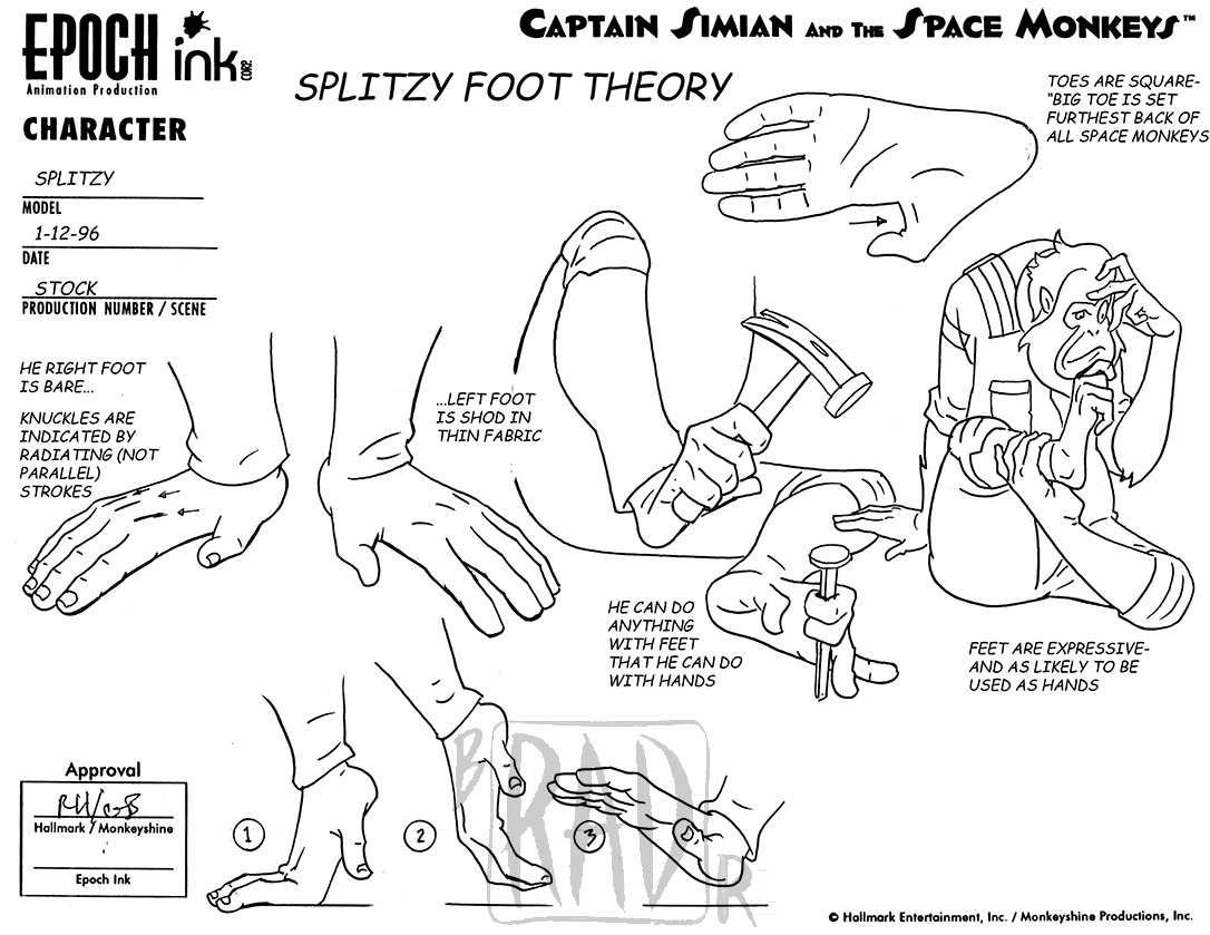 14 Splitzy Model_Foot Theory