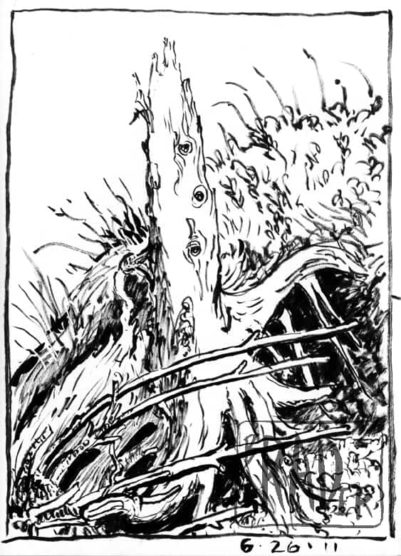 bg_from_life_05_driftwood_stump_1